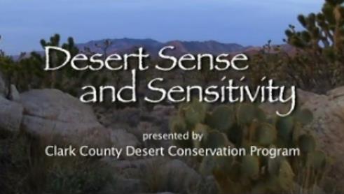 Desert Sense Sensitivity video